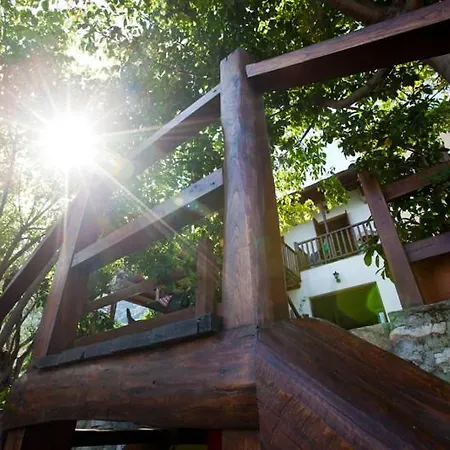 Victoria's דמוצ'ארי